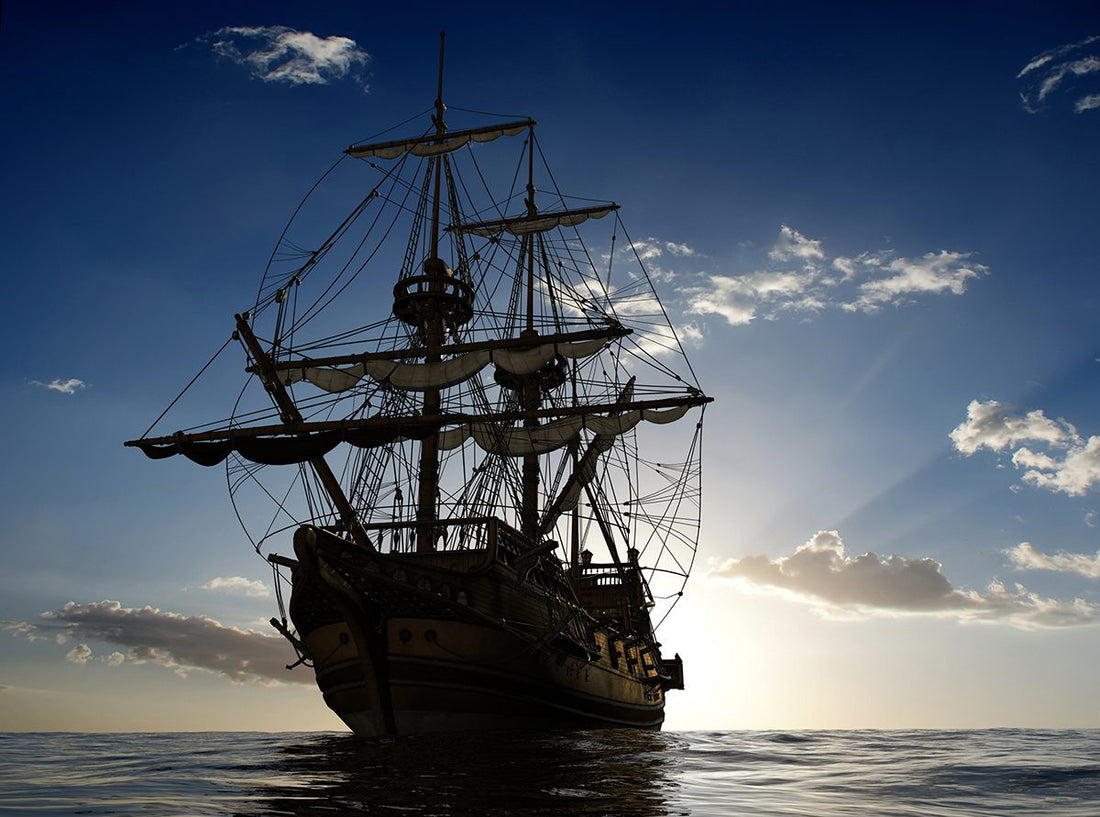 A Pirate's Life For Me...?
